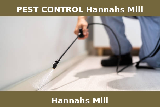 PEST CONTROL Hannahs Mill